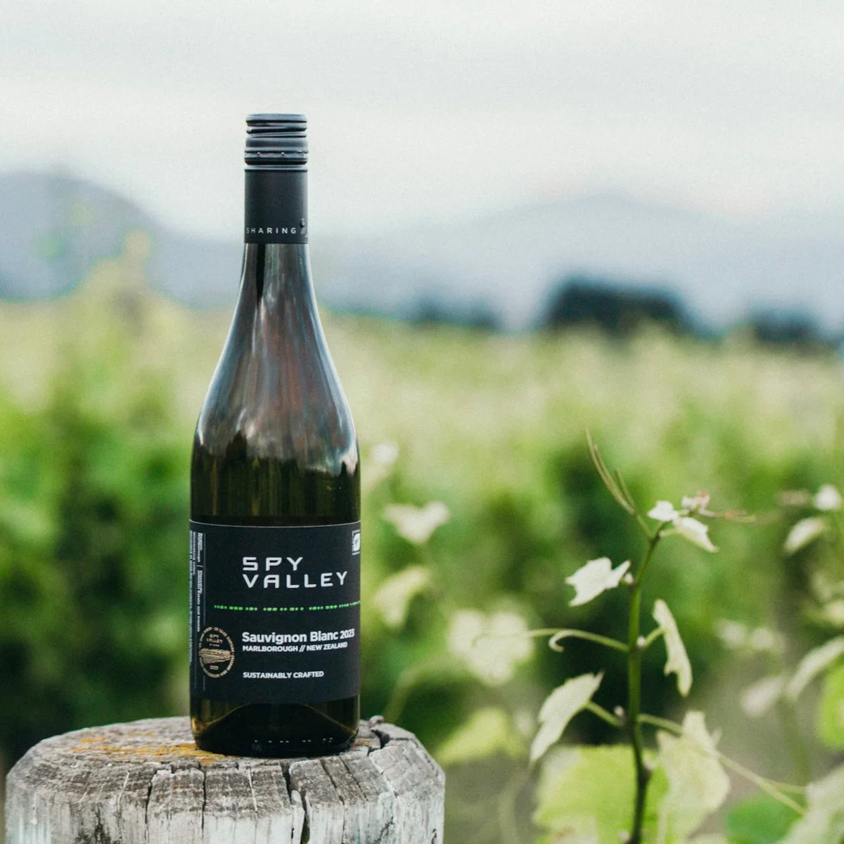 Product image for Spy Valley Sauvignon Blanc