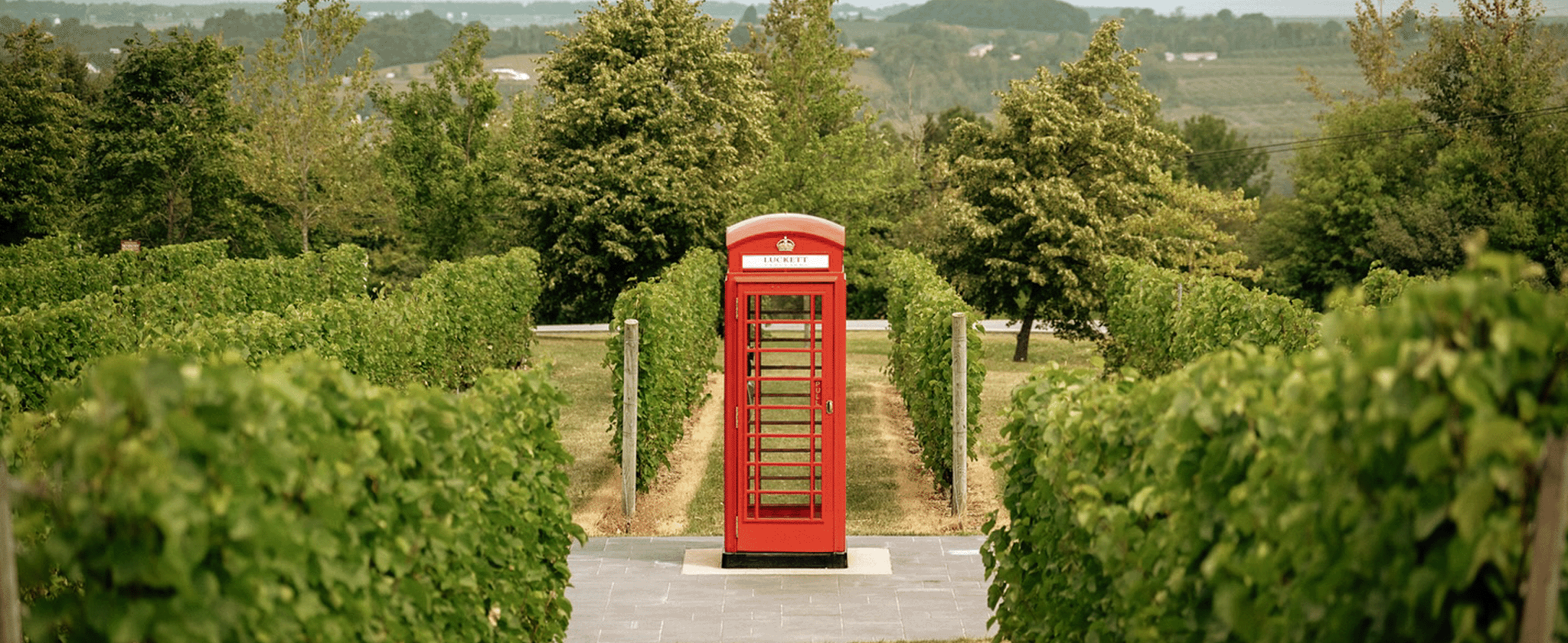 Product image for Banished - Clockin' Out Red Ale - Dupe Scheduled!